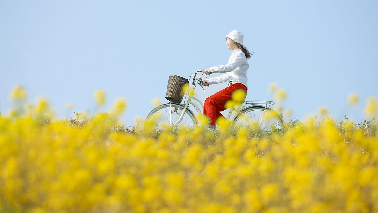 A young woman rides a bicycle through a summer field