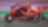 Ducati Corse